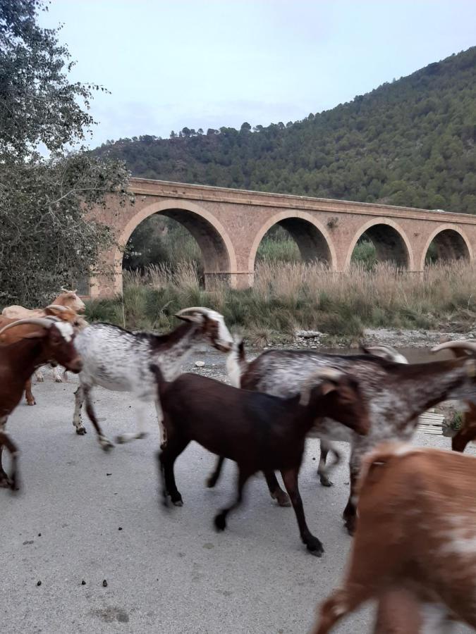 Cortijo De La Arena Fina Orgiva Exterior foto